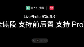 opporeno12标准版和pro版怎么选择