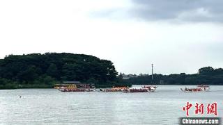 逾750名海内外龙舟运动员齐聚广州白云上演“速度与激情”