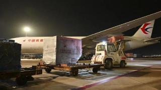 上海机场实行跨境电商货物便利化收运，今年前5月两场货运总量同比增长超15%