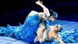杨丽萍回应舞蹈尺度争议 认为舞蹈内容有严肃思想价值
