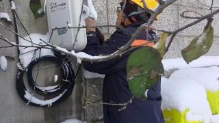 烟台联通全力保障强降雪和大风天气通信稳定