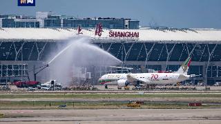 国际航班再添“新翼”，中国往返巴林首条直飞航线正式开通