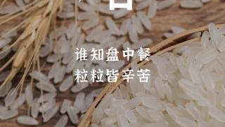 海报图品｜世界粮食日：粒粒皆辛苦