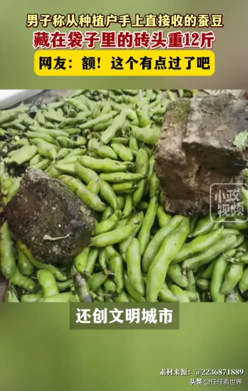 南通种植户一袋蚕豆里藏6块砖头，收购人员寒心不已