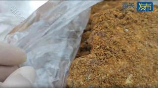 泉州海关在旅客行李中发现土壤6.3公斤、活虫蚁4只