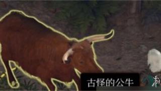 《博德之门3》古怪的公牛一览