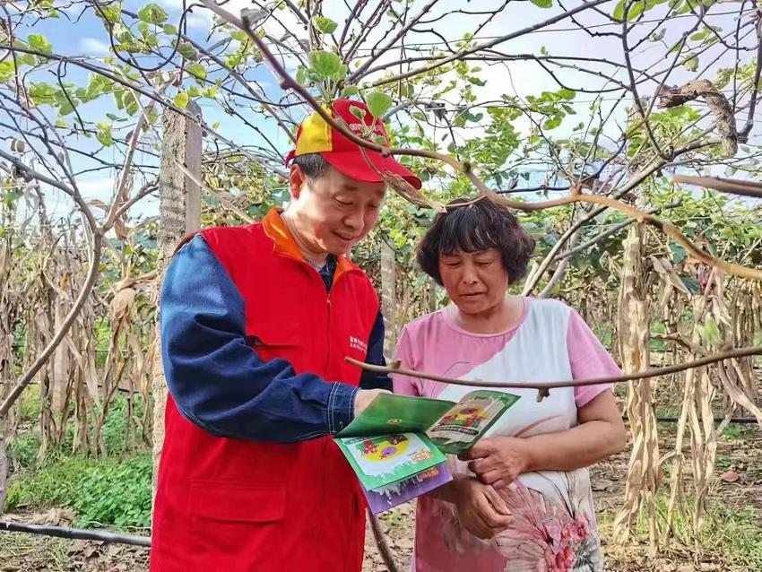 河南南阳：电力足服务优 果香浓助丰收