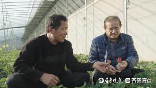 齐鲁乡村之星｜靳伟然：有机农业的引领者，乡村振兴的践行者