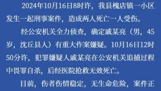 沈阳一男子在公安机关追捕过程中畏罪自杀身亡