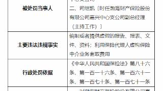 因虚构保险业务套取费用等，渤海财险嘉兴支公司被罚31万元