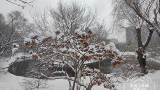 瑞雪兆丰年，除夕夜我省大部降雪持续