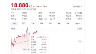 小米集团大涨超8%！机构：看好三条增长曲线闭环协同成长空间