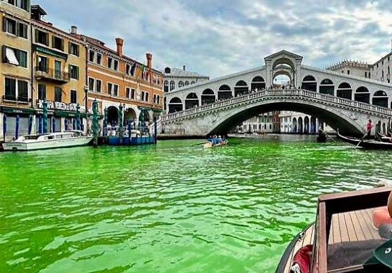 威尼斯运河，突然“绿了”……
