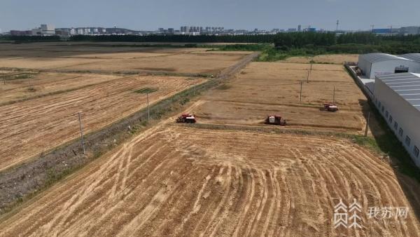江苏发放3.8万张农机跨区作业证助力夏收夏种