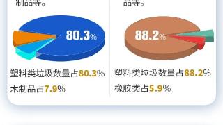 世界海洋日｜江苏近岸海域优良水质面积比例达88.9%