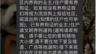 物业管家称将在小区喷洒对犬类有毒药品，居委会：没实际投放，发通知员工已停职