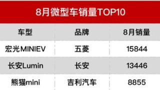 8月详细销量分析，新能源何时反超燃油，新势力下半年该如何选择