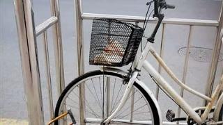 站台护栏锁自行车
