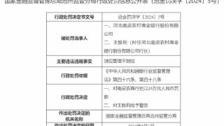 因贷后管理不到位，河北南皮农商行被30万元