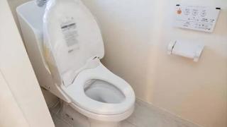 日本连环大盗盯上男厕所，专偷小便池盖子？警察懵了：偷这能干啥？