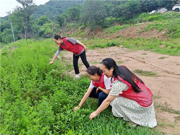 重庆高新区虎溪街道：禁毒宣传入人心 守护健康不“毒”行