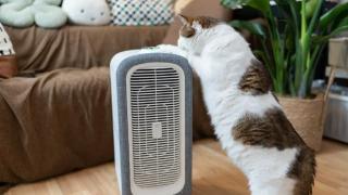 舒乐氏宠物精灵空气净化器C01，养猫家庭必备神器