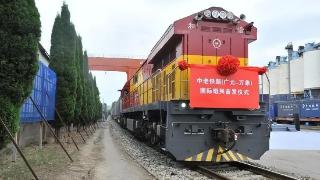 1600万人次！中老铁路一年成绩亮眼，这条铁路如何重塑老挝
