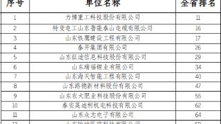 喜报！泰安市35家企业入选2023山东民企百强系列榜单