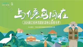 2024浙江杭州湾国家湿地公园观鸟季拉开序幕