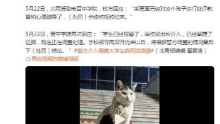 大学生掐死流浪猫仅批评？高校再回应