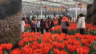 第十四届吉林（长春）冬季农博会延续开放至2月29日