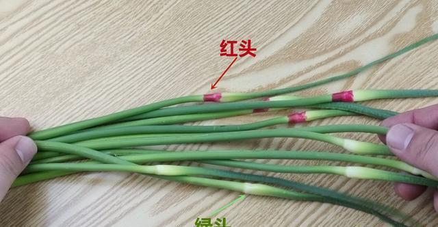 买蒜苔，要分清“绿头”和“红头”，区别挺大，弄懂再买也不迟