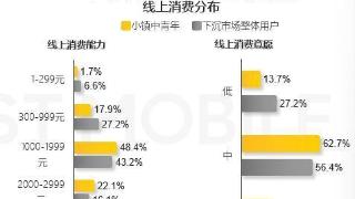 QuestMobile小镇中青年消费报告：消费决策受亲朋推荐影响大，青睐拼多多