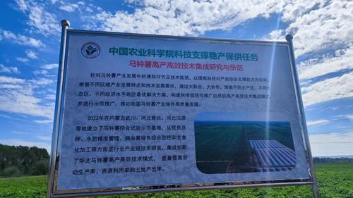 马铃薯高产高效技术集成研究与示范在内蒙古武川举行