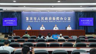 重庆警方：电诈案件受害者中青年群体、企业职工占比最高