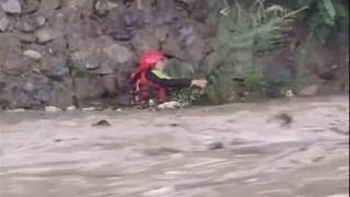 九寨沟一消防员抢险救灾时被洪水冲走，抓住江边小树后成功获救
