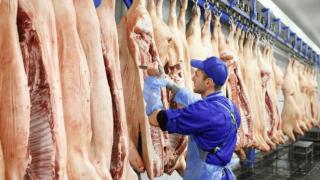 俄罗斯的猪肉，送来的正是时候，让欧盟对中国只剩下让步的份儿