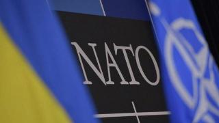 美媒：乌克兰可在中立地位下获得北约援助