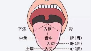 观舌知健康，中医的舌诊内容，你知道需要看哪些吗？