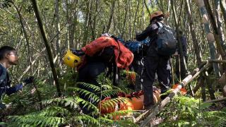 台湾一登山团遭蜂群攻击 致2死9伤