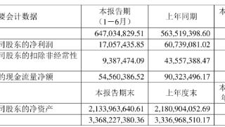 长阳科技上半年净利降7成 2019年上市两募资共10.2亿