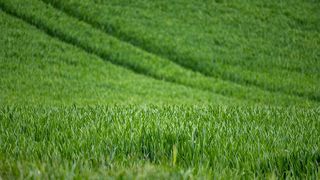 农业农村部：全国早稻已收获16.7% 进度快于上年