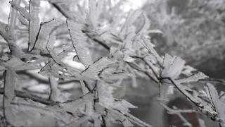 江西大风降温阴雨湿冷庐山风景区雨夹雪